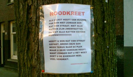 Noodkreet