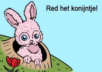 konijn.jpg