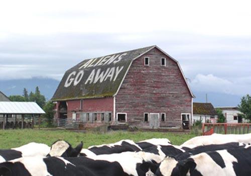 Cow Abduction Cow Abduction