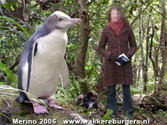 Reuzenpinguin